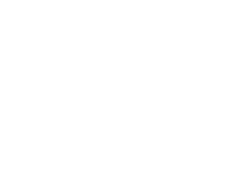 The Beer • Discretion Brewing